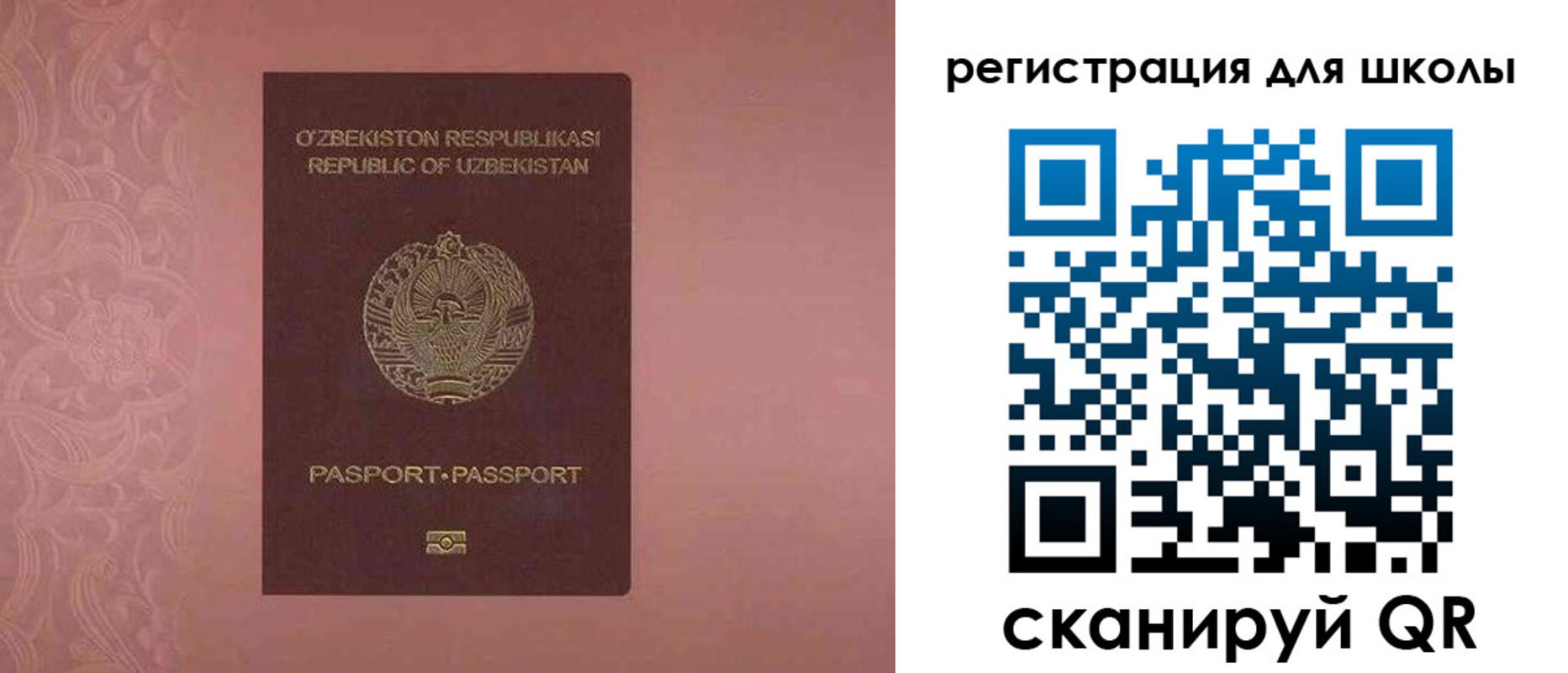 прописка для школы в Эртили